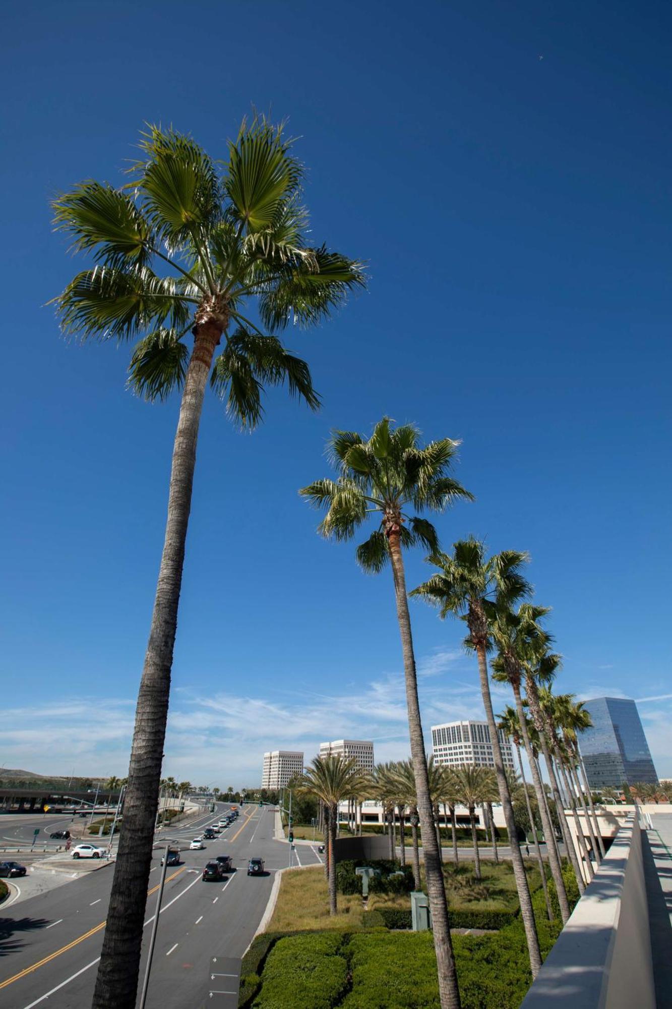 Hyatt Regency Irvine Ξενοδοχείο Εξωτερικό φωτογραφία